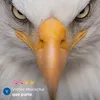 Someone