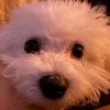 Someone