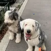 Someone