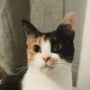 Someone