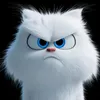 Someone