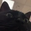 Someone