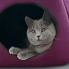 Someone
