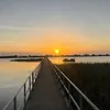 Someone