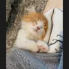 •••••gj