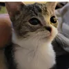 Someone