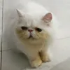 Someone