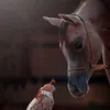 Someone
