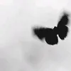 Someone