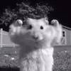Someone