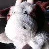 Someone