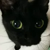 Someone