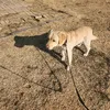 Someone