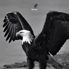 Someone