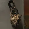 Someone