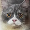 Someone