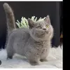 Someone