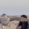 Someone