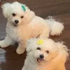 Someone