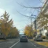 Someone