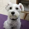 Someone