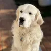 Someone