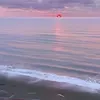 Someone