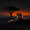 Someone