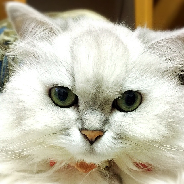 Someone