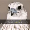 Someone