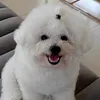Someone