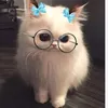 Someone