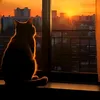 Someone