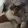 Someone