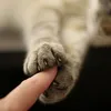 Someone