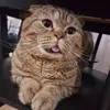 Someone
