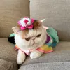 Someone