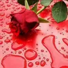 Someone