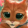 Someone