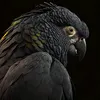 Someone