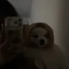 Someone