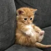 Someone