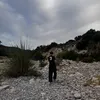 LexousSAB