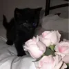 Someone