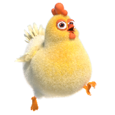 Naughty Chicken
