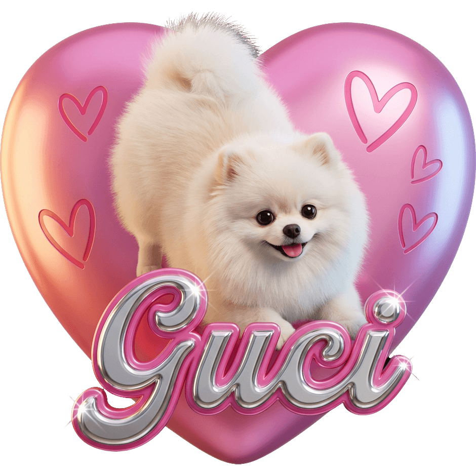Pomeranian Guci