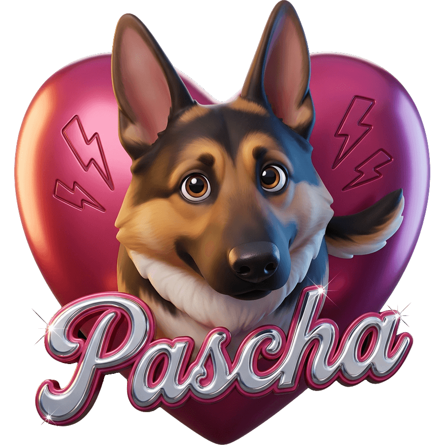 Wachhund Pascha