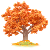 Autumn leaves