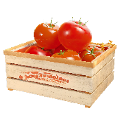 Juicy tomatoes