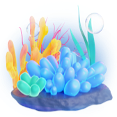 Coral